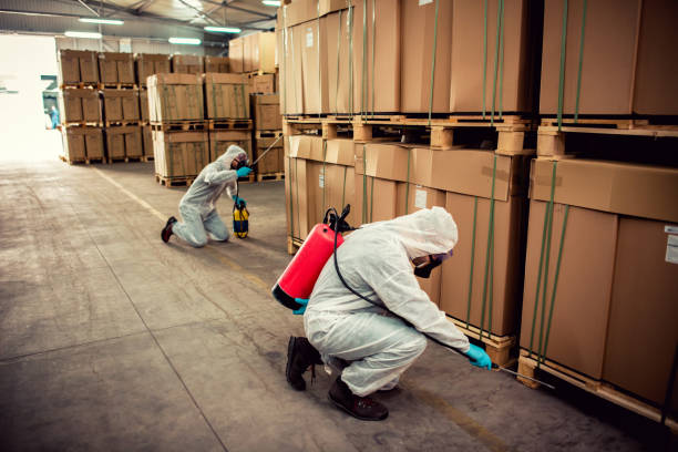 Best Residential Pest Control  in Haltom City, TX