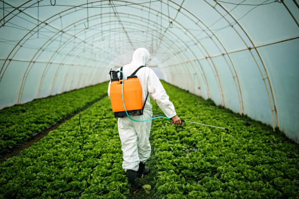 Best Best Pest Control Companies  in Haltom City, TX