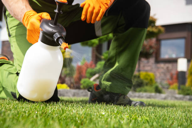 Best Mosquito Control Services  in Haltom City, TX