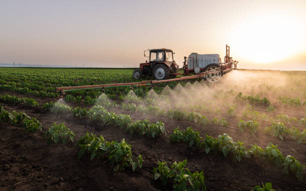 Best Best Pest Control Companies  in Haltom City, TX