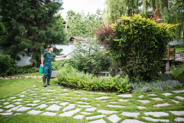 Best Pest Control for Homes  in Haltom City, TX