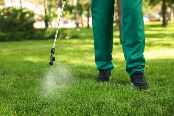 Reliable Haltom City, TX Pest Control Solutions
