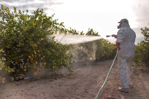 Flea Control Services in Haltom City, TX