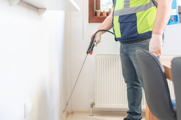 Flea Control Services in Haltom City, TX