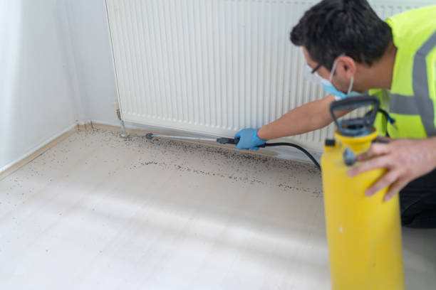 Best Pest Control Near Me in Haltom City, TX