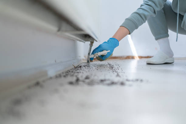 Best Mosquito Control Services  in Haltom City, TX